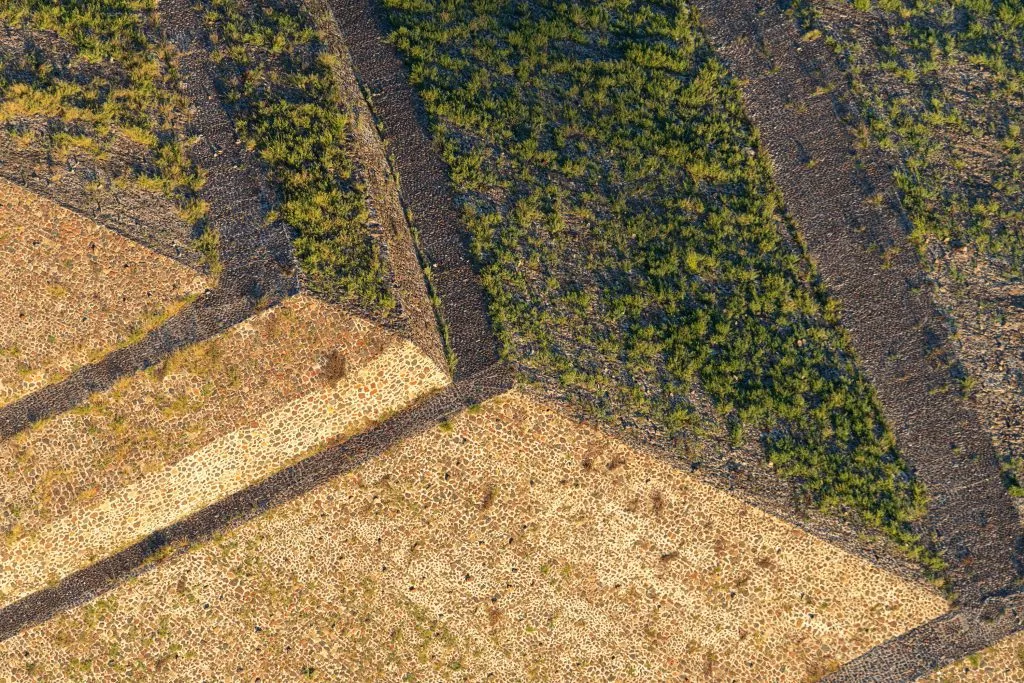 Hot Air Balloons Over Teotihuacán