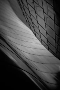 Exploring Los Angeles Architecture Through Lensbaby Lenses